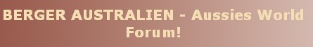 Forum Aussies World