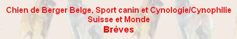 Chiens de Bergers Belges (Suisse)
