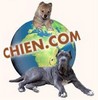 Chien.com