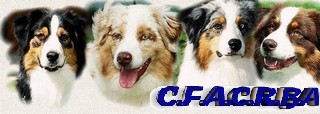 Club Français  pour l'Amélioration des Chiens de Races Bergers Australiens