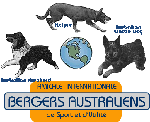 Amicale Internationale des Bergers Australiens de Sport et d'Utilité