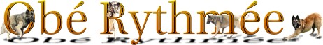 Obe