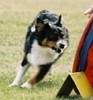 Agility